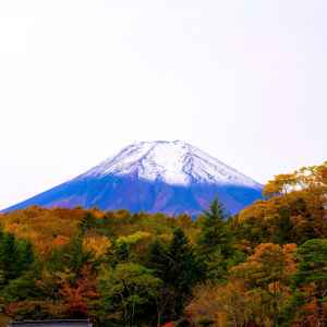 Mt. Fuji and autumn leaves seen from Oshino Hakkai