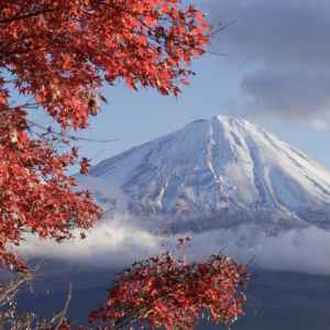 Autumn maple leaves and Mt. Fuji seen from Koyodai